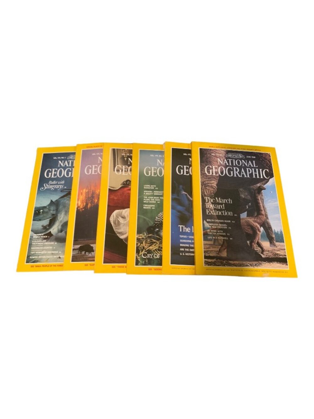 National Geographic 1989 Lot Jan-Jun Vol 175 Complete Set Magazines